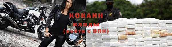 стафф Арсеньев