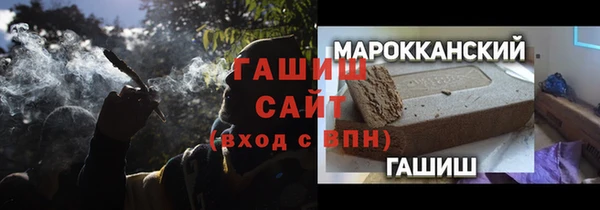 стафф Арсеньев