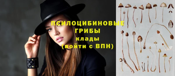 стафф Арсеньев