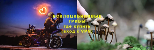 PSILOCYBIN Аркадак
