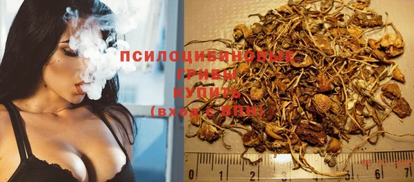 PSILOCYBIN Аркадак