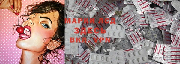 стафф Арсеньев