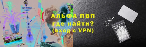 PSILOCYBIN Аркадак