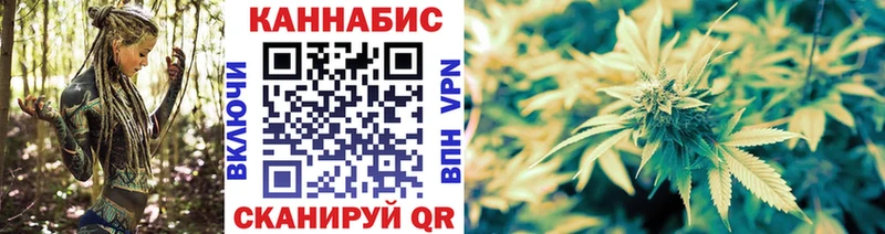 купить наркотики сайты  Оса  Каннабис план 